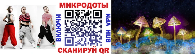 Галлюциногенные грибы Psilocybine cubensis Змеиногорск